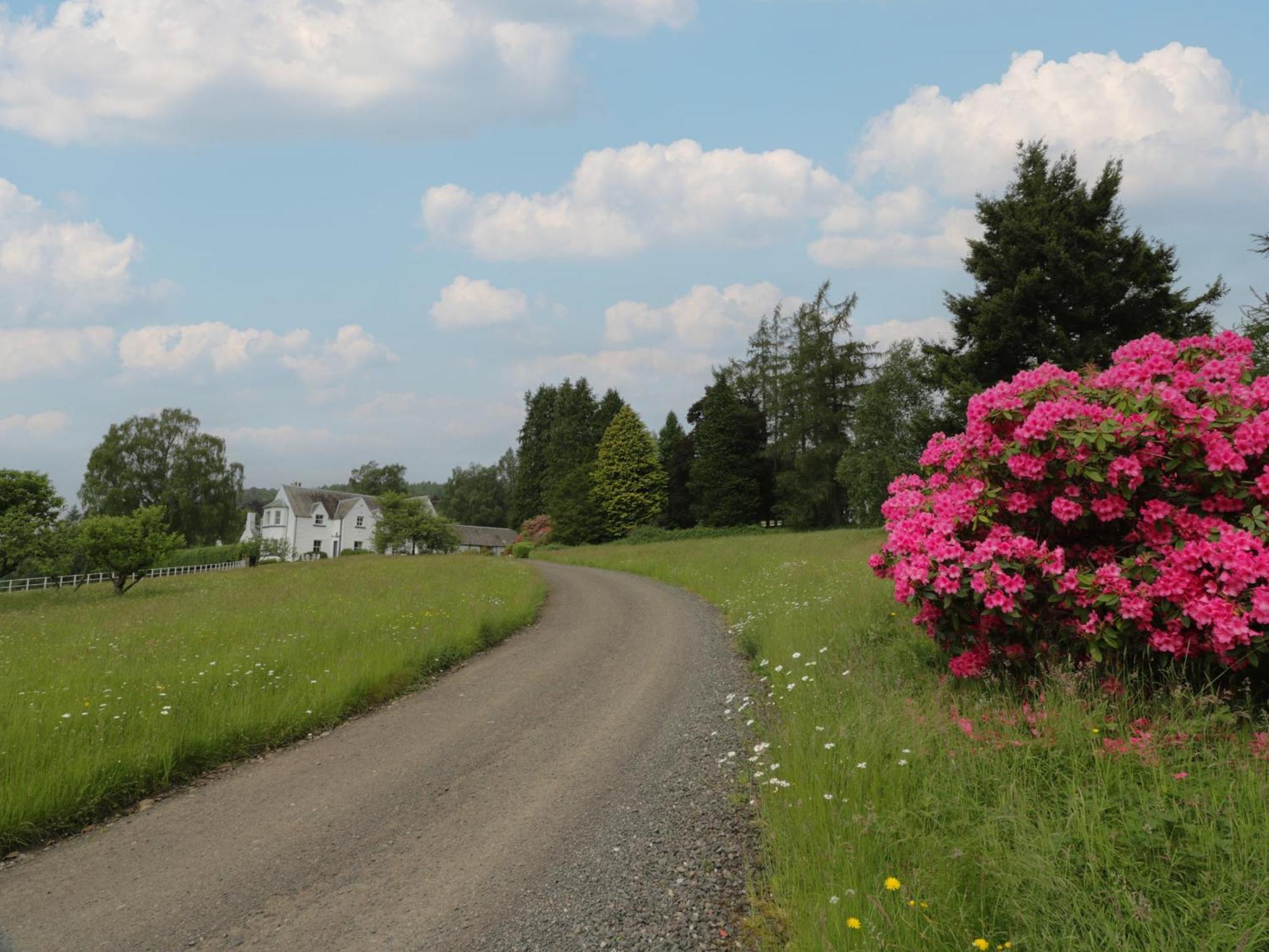 Fordie Lodge Crieff Kültér fotó